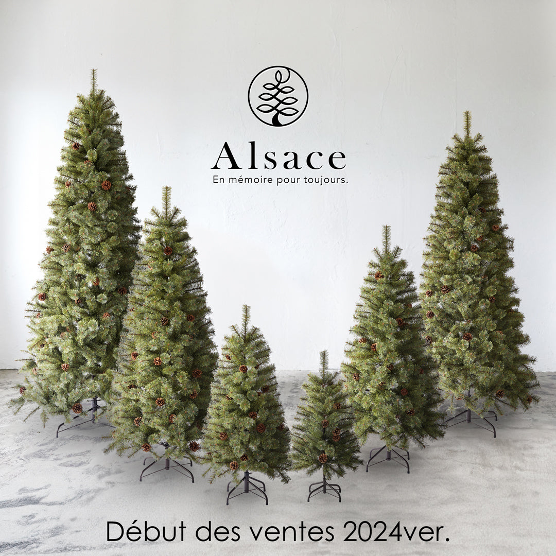 Alsace tree®︎ アルザスツリー 2024 クリスマスツリー 樅