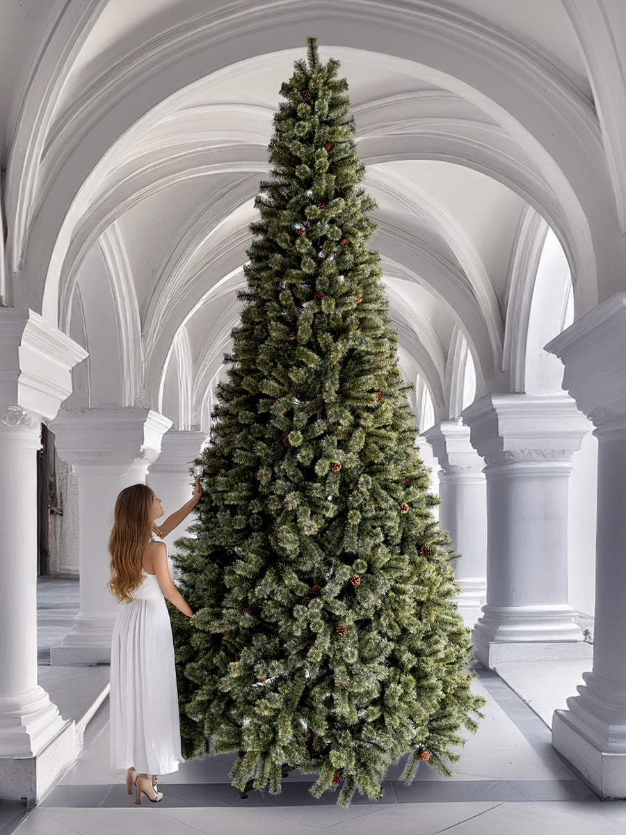 アルザスツリー 360cm énorme エノルム(特大) 樅