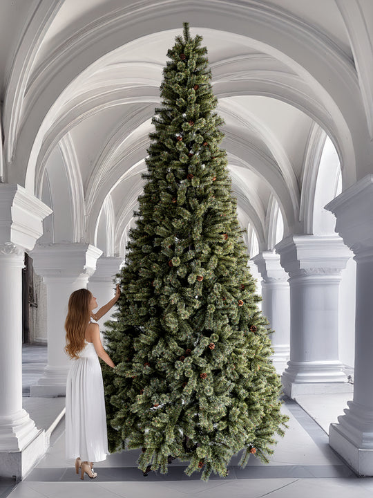 アルザスツリー 360cm énorme エノルム(特大) 樅