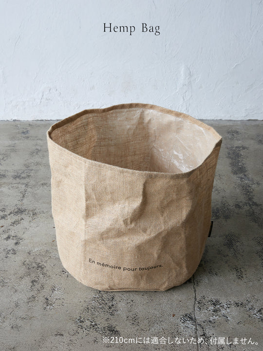 アルザスツリー スノー + BlancNoel Ensemble 樅