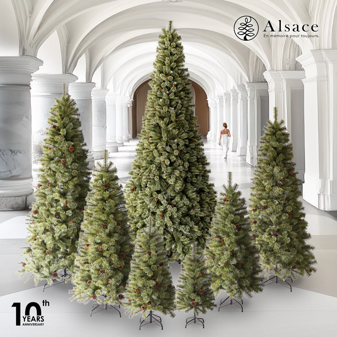 Alsace tree®︎ アルザスツリー “360 énorme エノルム(特大)” 樅