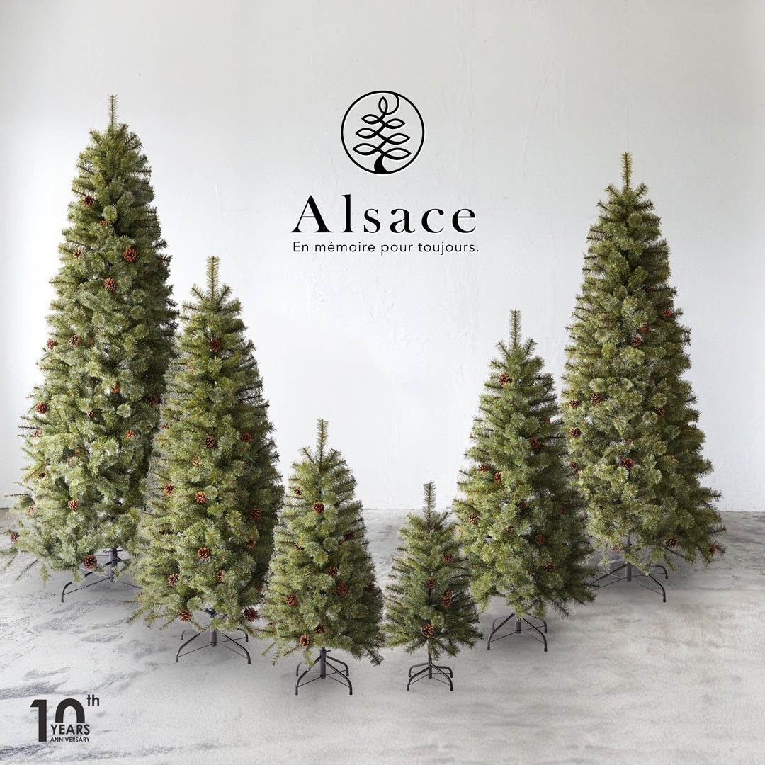 Alsace tree®︎ アルザスツリー 2024 クリスマスツリー 樅