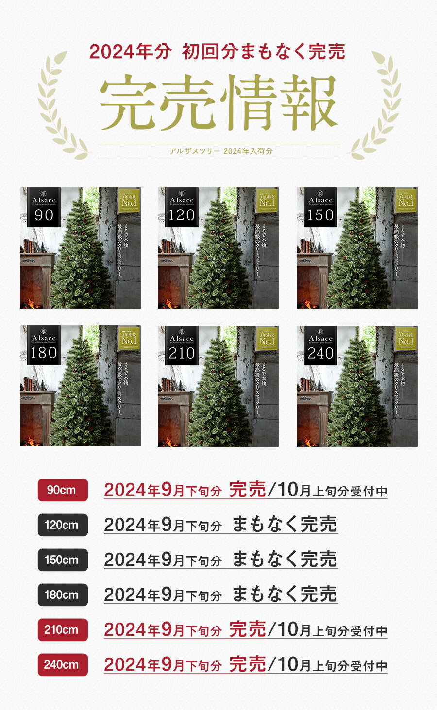 Alsace tree®︎ アルザスツリー 2024 クリスマスツリー 樅 – alsace_tree