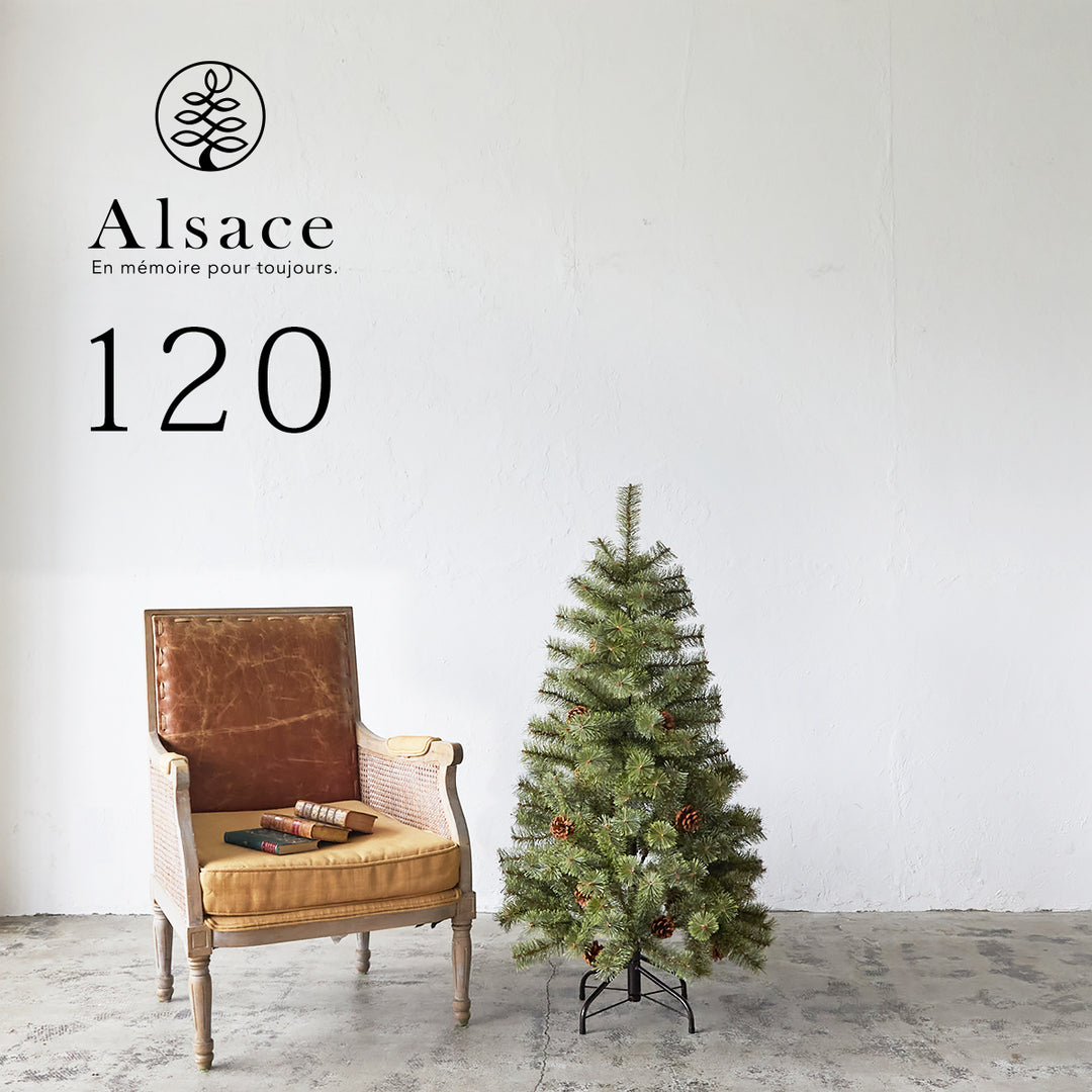 Alsace tree®︎ アルザスツリー 2024 クリスマスツリー 樅