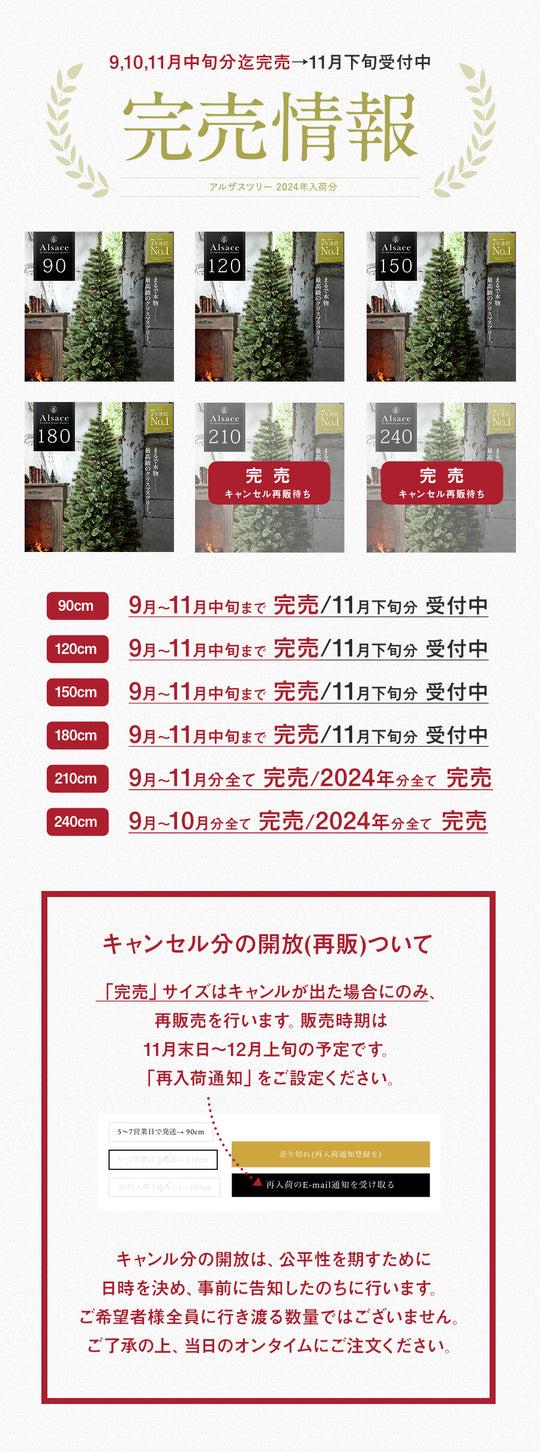 Alsace tree®︎ アルザスツリー 2024 クリスマスツリー 樅