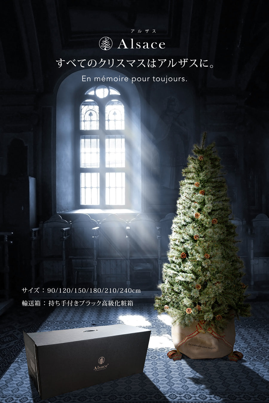 Alsace tree®︎ アルザスツリー 2023 クリスマスツリー 樅 – alsace_tree