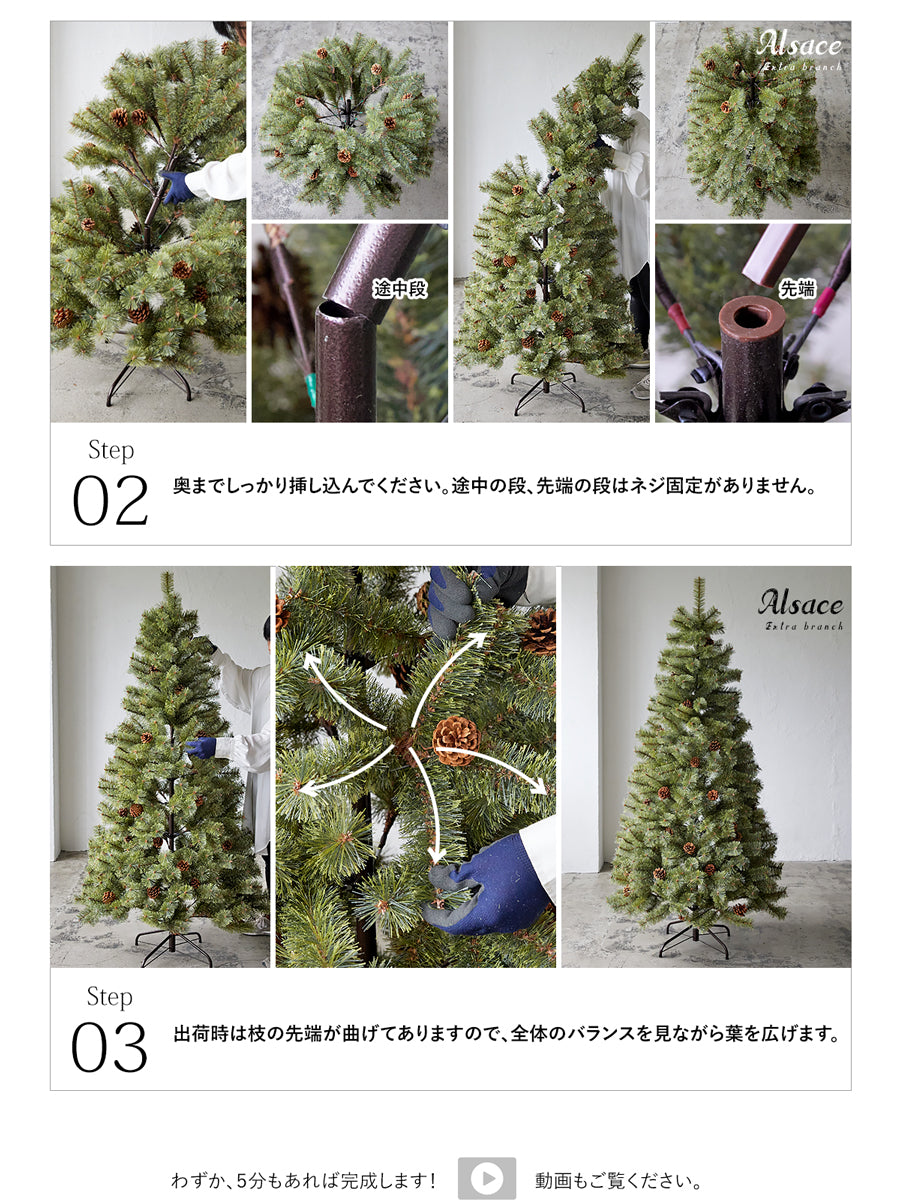 Alsace tree®︎ アルザスツリー 2023 クリスマスツリー 樅 – alsace_tree