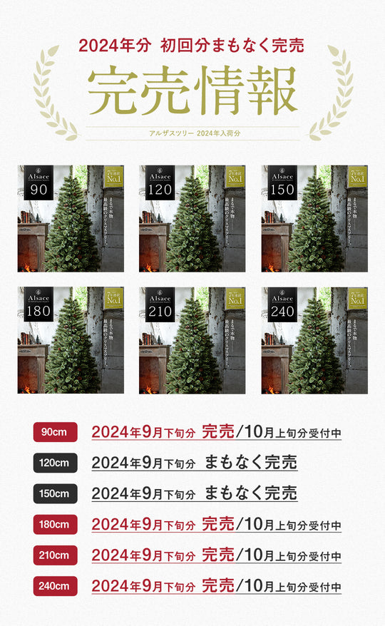 Alsace tree®︎ アルザスツリー 2024 クリスマスツリー 樅