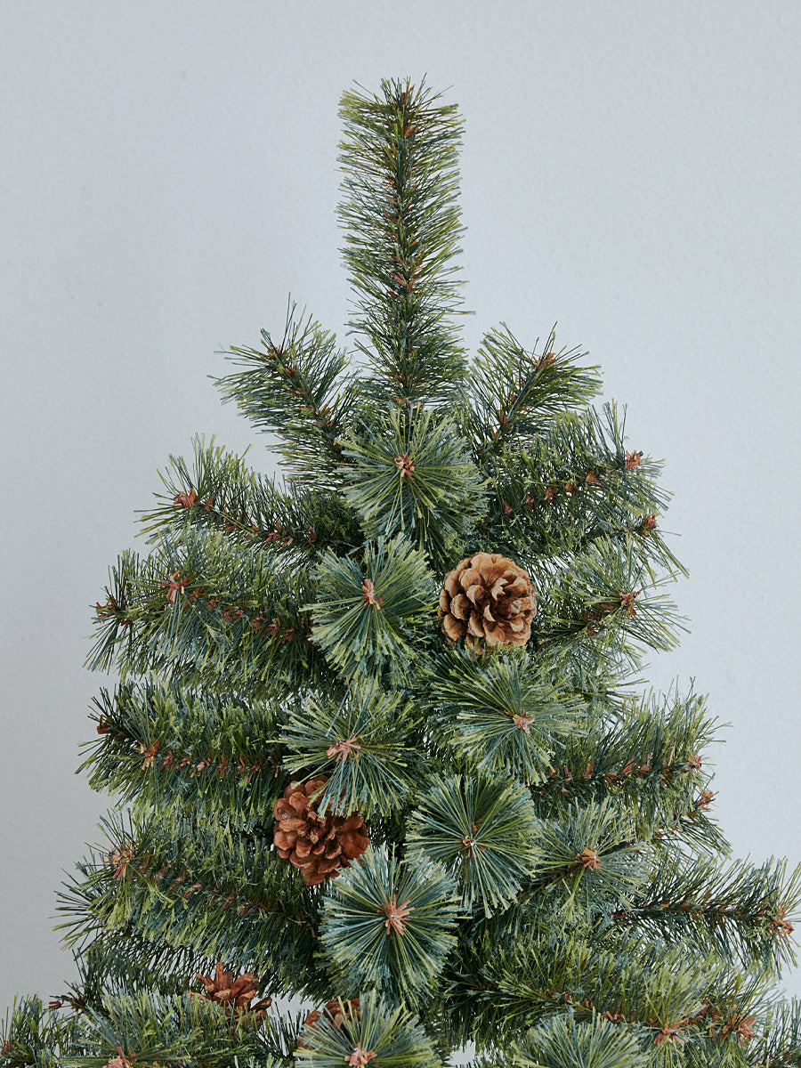 Alsace クリスマスツリー 150cm 2023年購入 アルザスツリー 樅 – alsace_tree