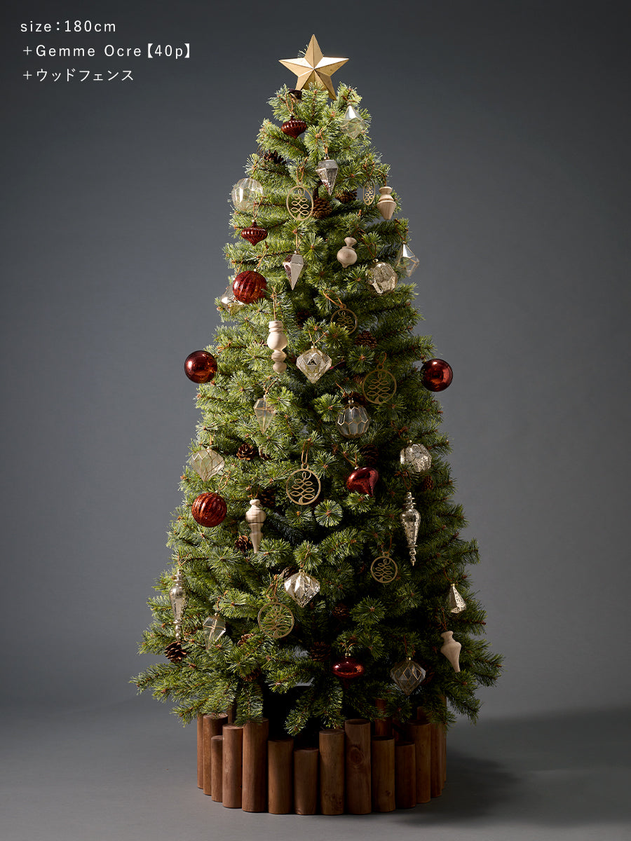 Alsace tree®︎ アルザスツリー 2024 クリスマスツリー 樅 アルザスツリー スノー 樅 – alsace_tree