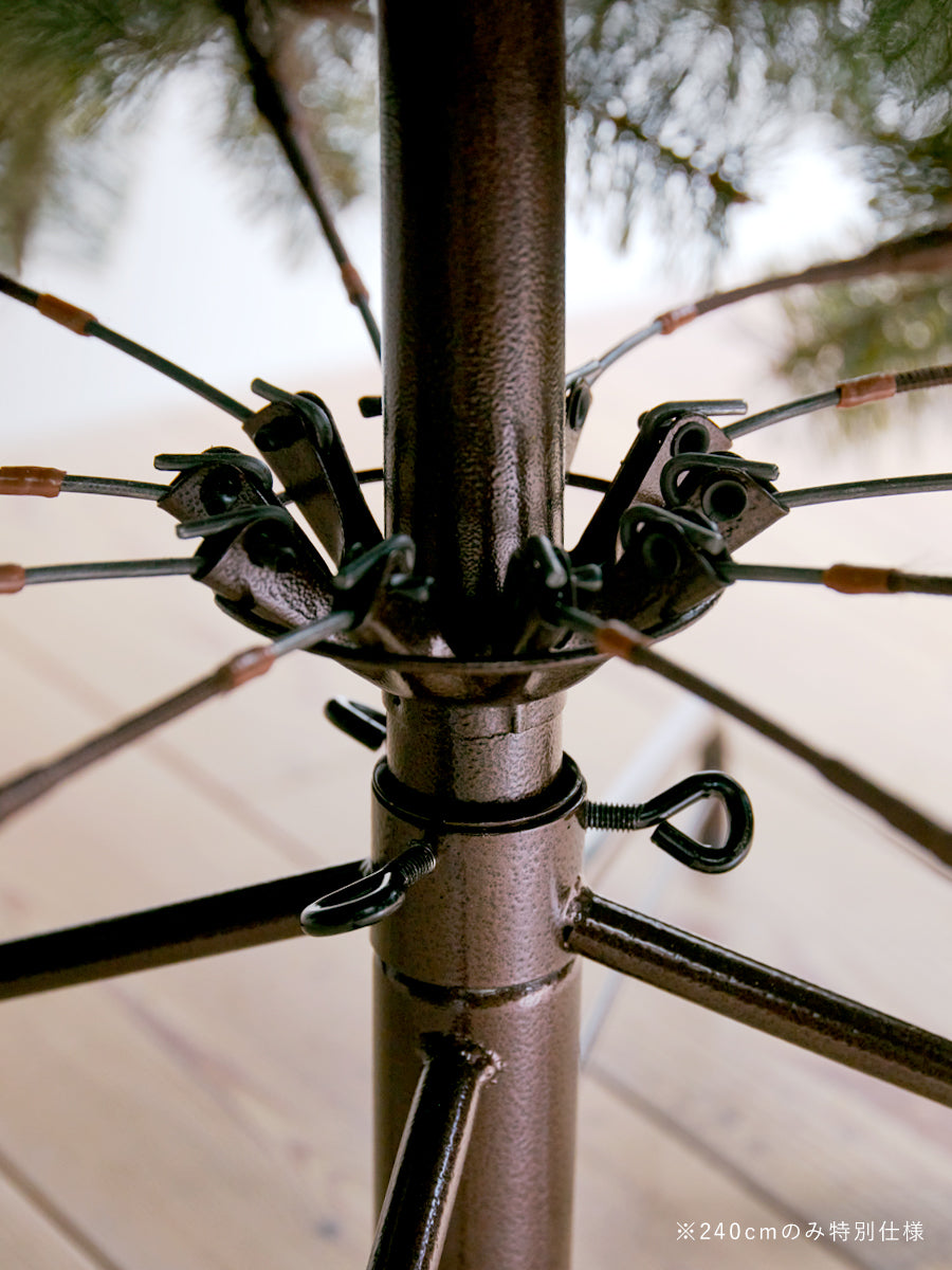 アルザスツリー 樅 – alsace_tree