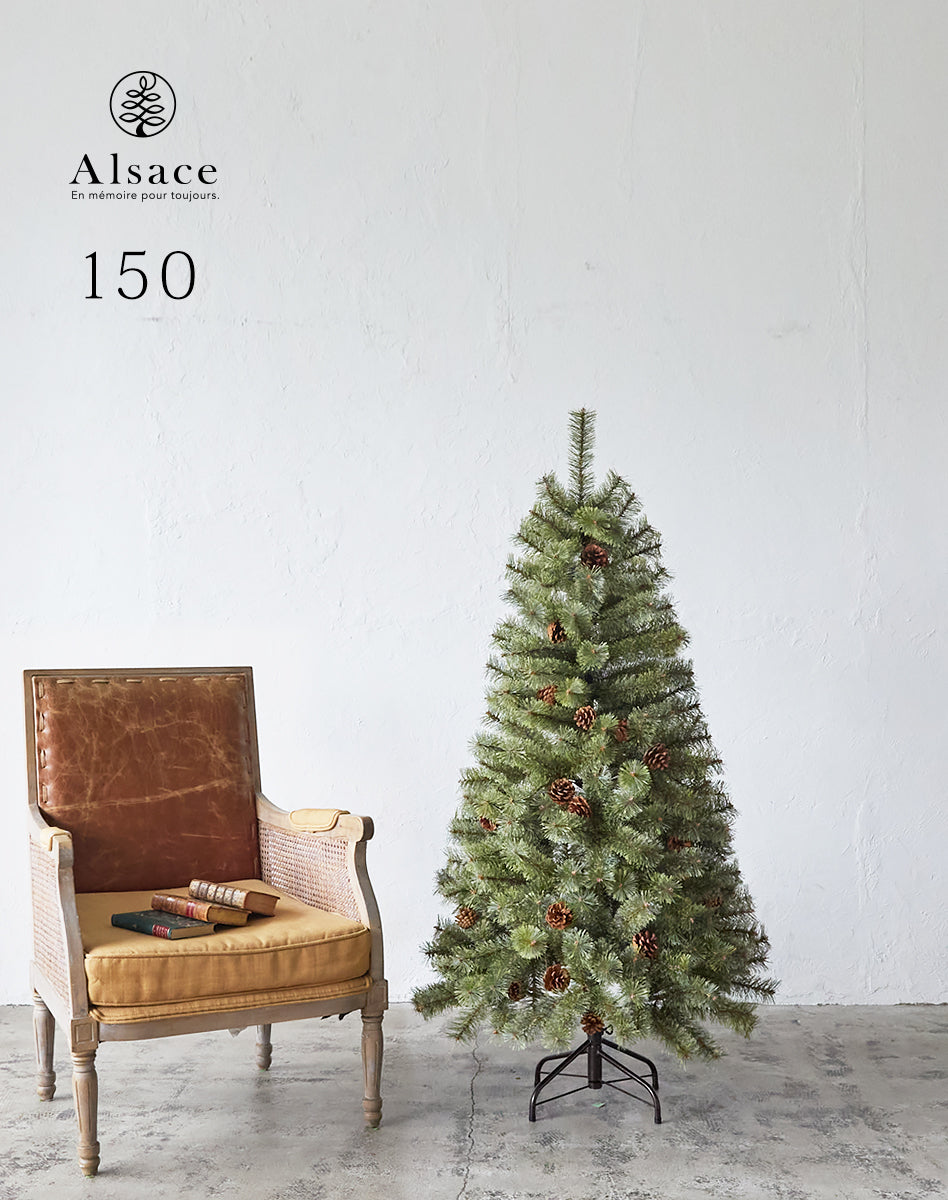 Alsace tree®︎ アルザスツリー 2024 クリスマスツリー 樅 – alsace_tree