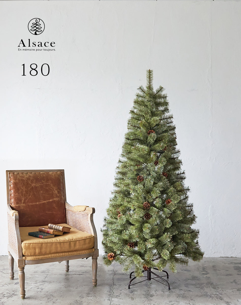 Alsace tree®︎ アルザスツリー 2024 クリスマスツリー 樅