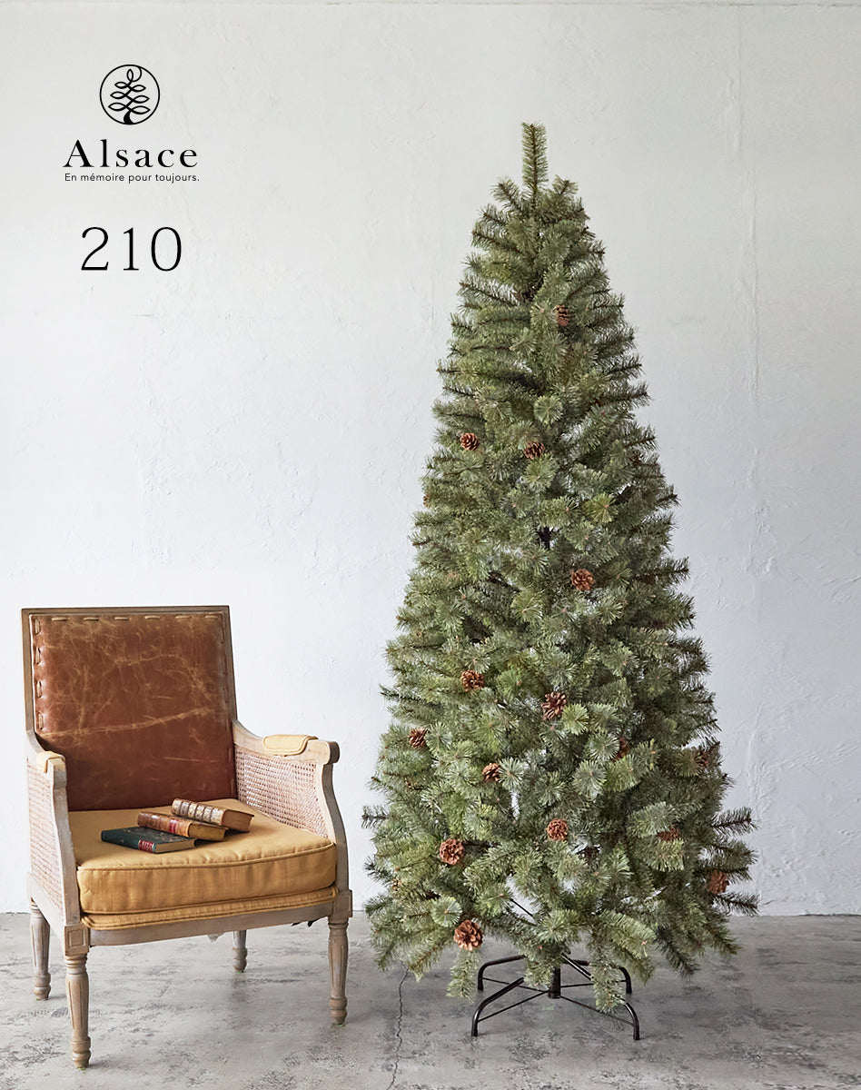 Alsace tree®︎ アルザスツリー 2024 クリスマスツリー 樅 – alsace_tree