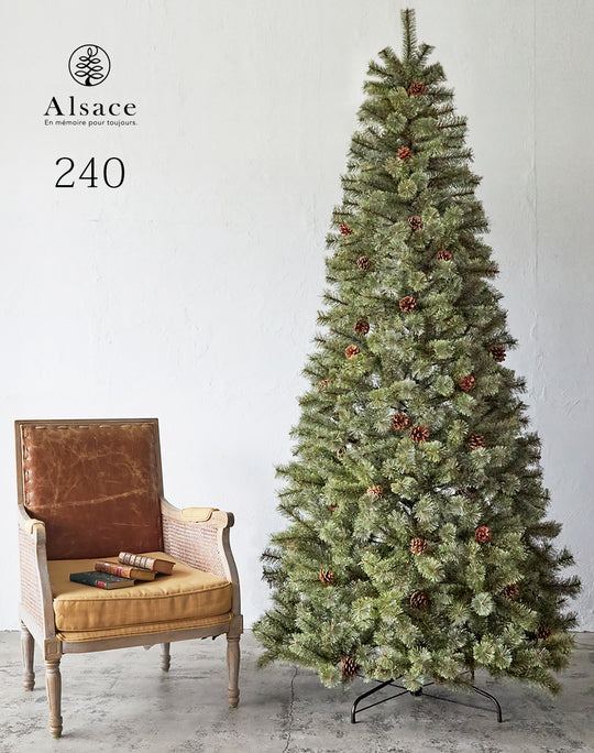 Alsace tree®︎ アルザスツリー 2024 クリスマスツリー 樅