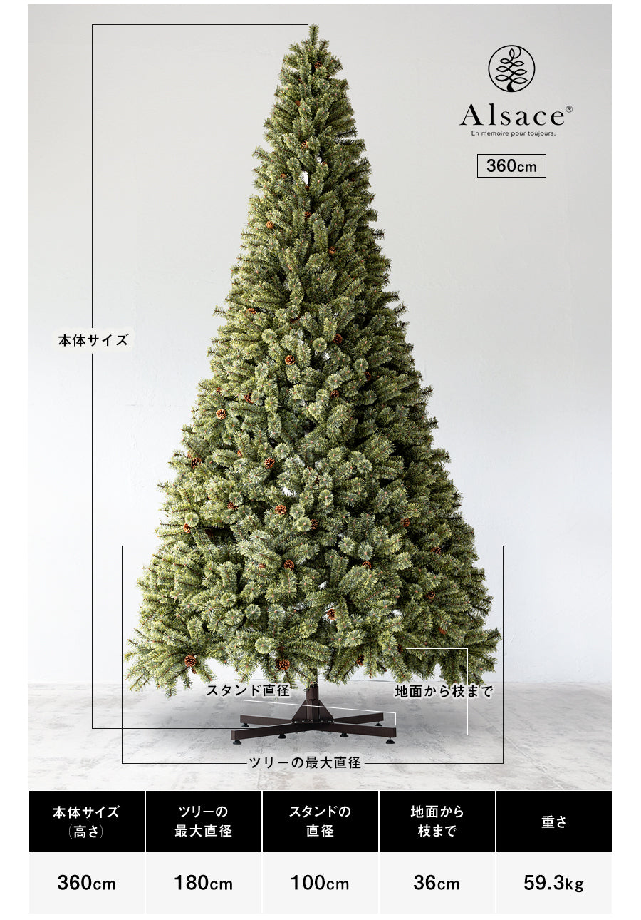 Alsace tree®︎ アルザスツリー “360 énorme エノルム(特大)” 樅