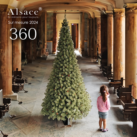 Alsace tree®︎ アルザスツリー “360 énorme エノルム(特大)” 樅