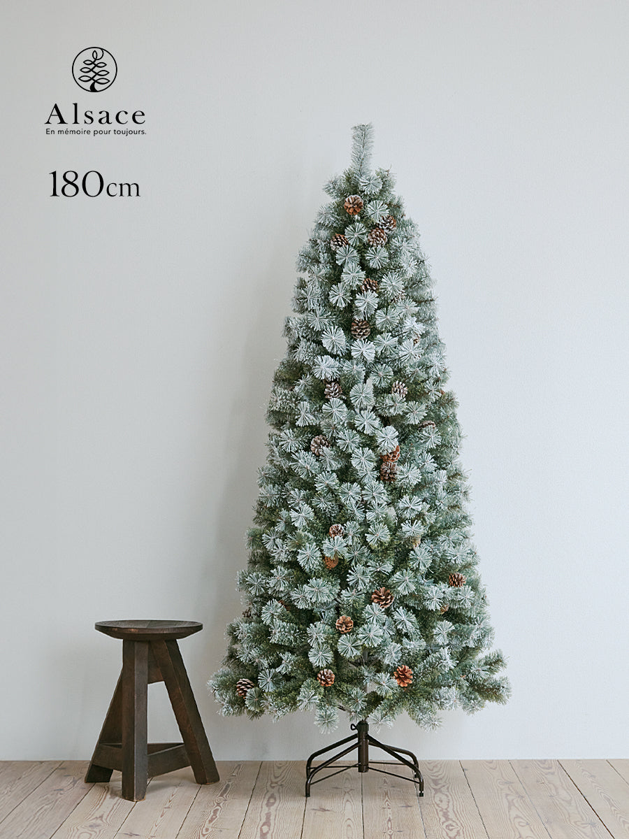 Alsace tree アルザスツリー  2023 アルザスツリー 樅 – alsace_tree