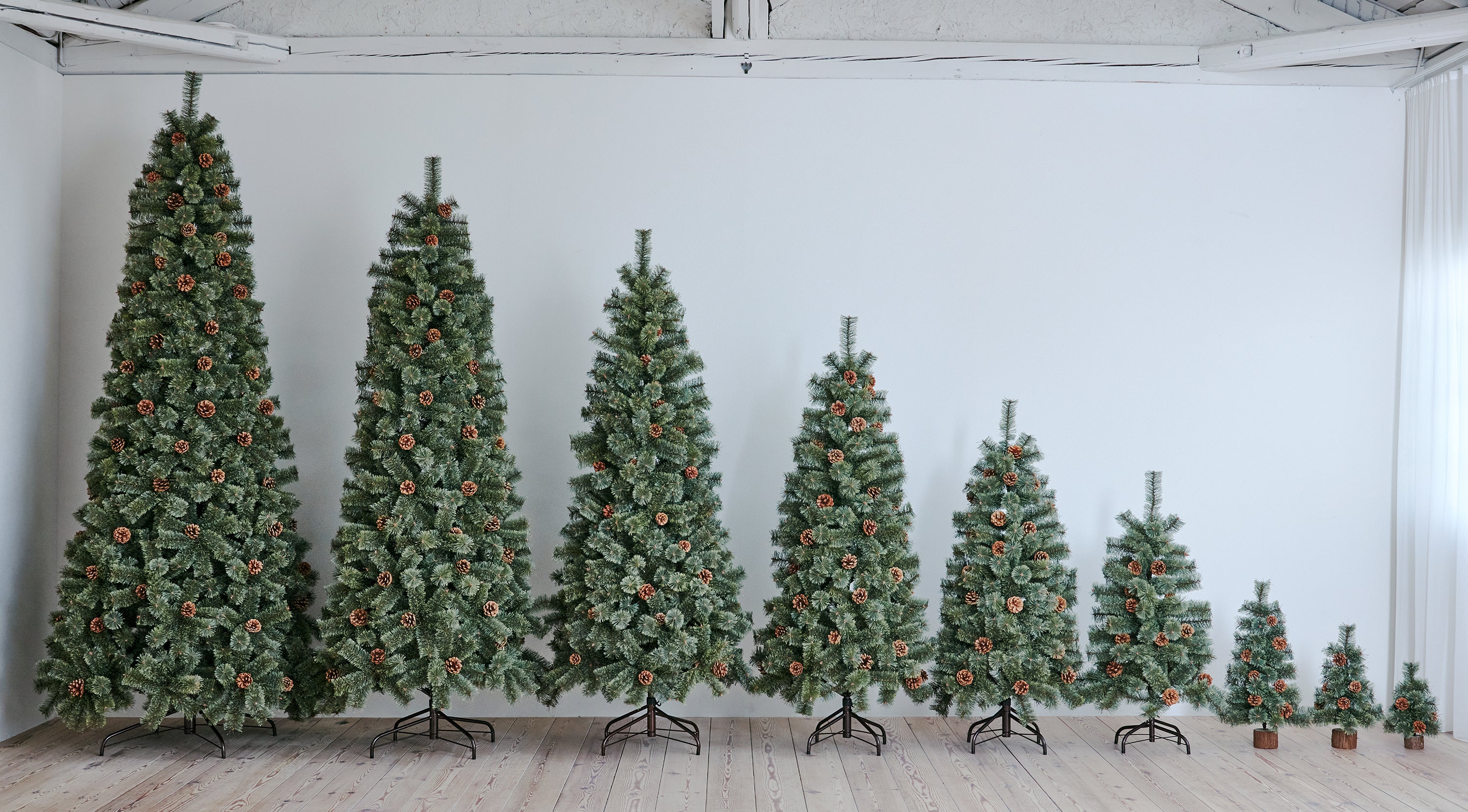 サイズ選びのポイント – alsace_tree