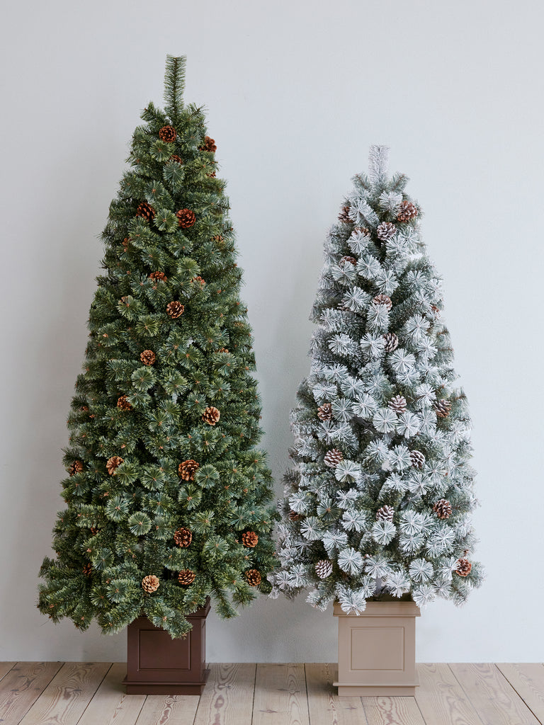 NOBU　abies procera スペインもみ　矮性　クリスマスツリー Alsace Alsace(R)公式 正規品 クリスマスツリー 180cm 北欧