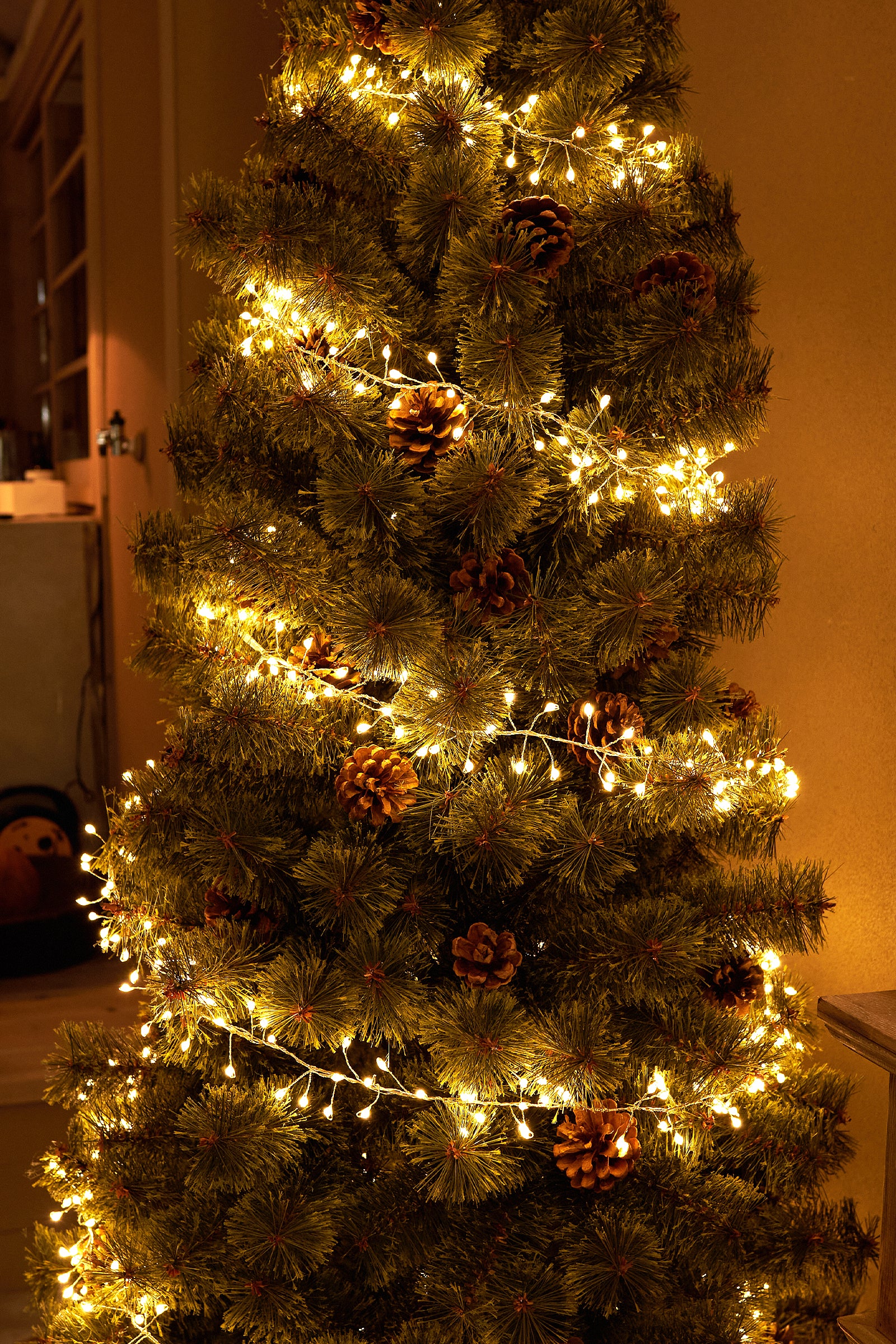 公式】Alsace アルザスツリー｜Online Shop｜本物志向の