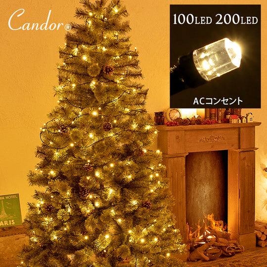 Candor® AC イルミネーション 100/200LED  柊