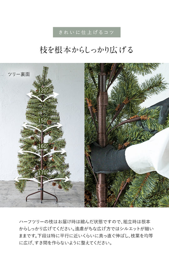 Alsace tree®︎ アルザス ハーフツリー 樅