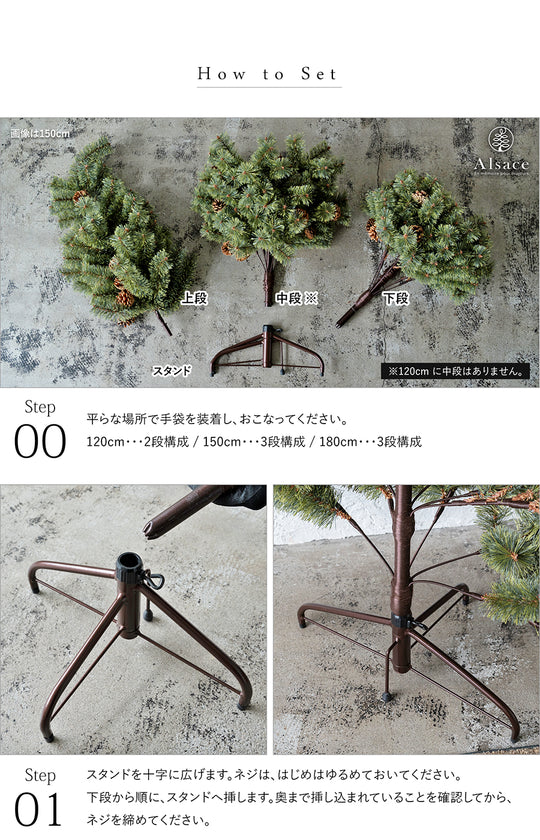 Alsace tree®︎ アルザス ハーフツリー 樅