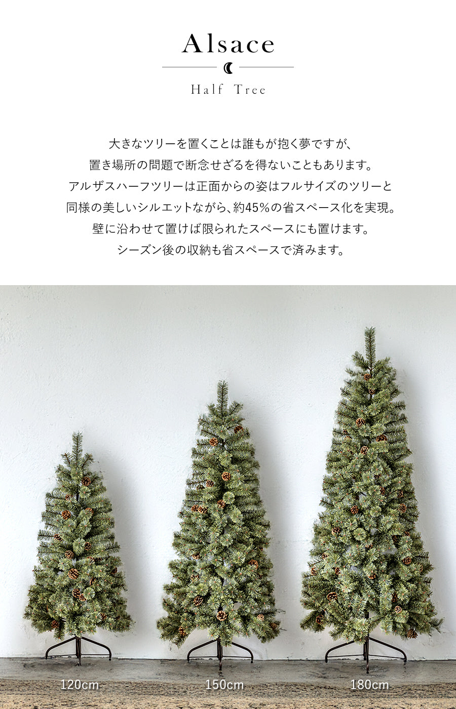 Alsace tree®︎ アルザス ハーフツリー 樅