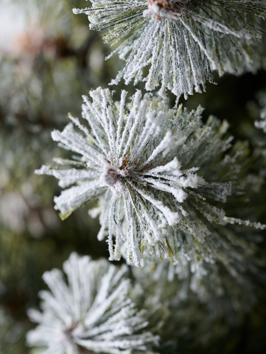 アルザスツリー スノー + Charme de Neige 樅 – alsace_tree