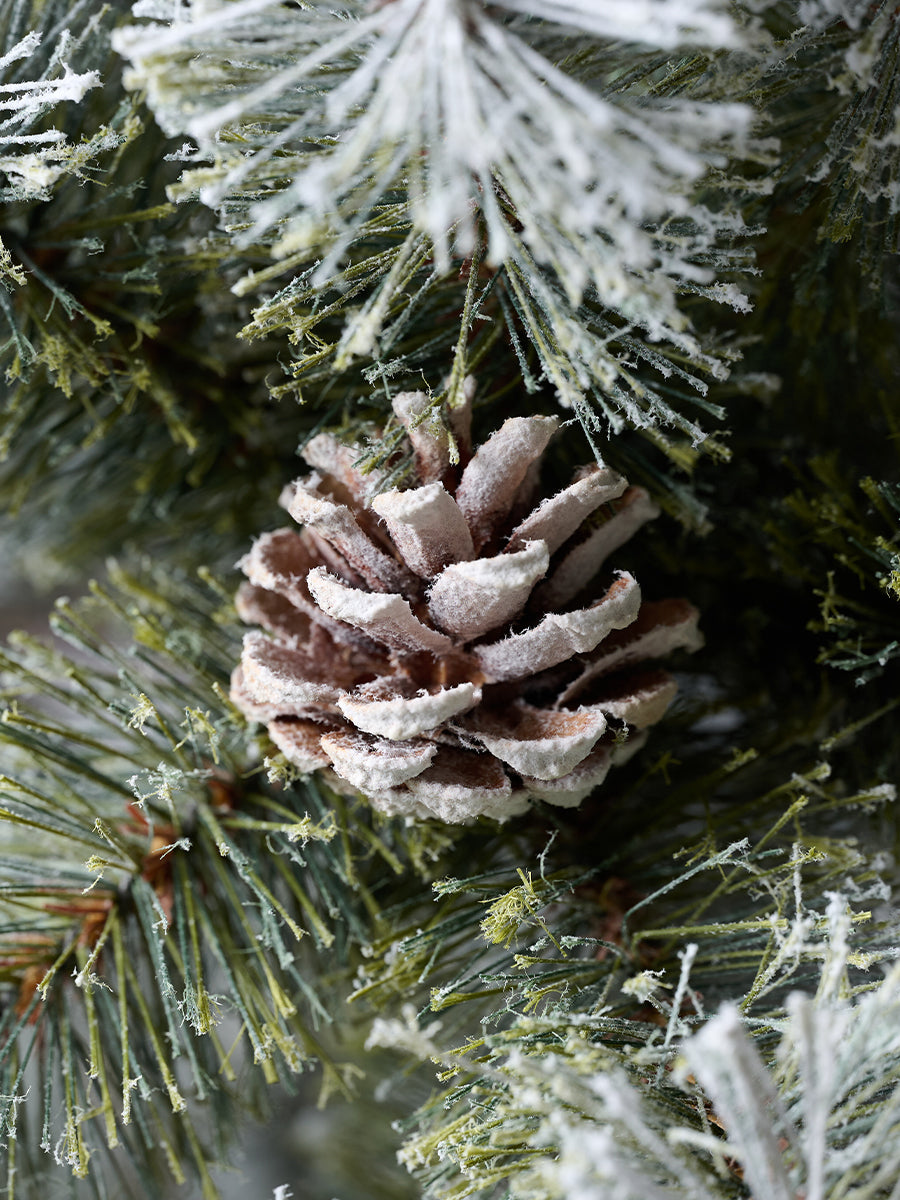 アルザスツリー スノー + Charme de Neige 樅 – alsace_tree