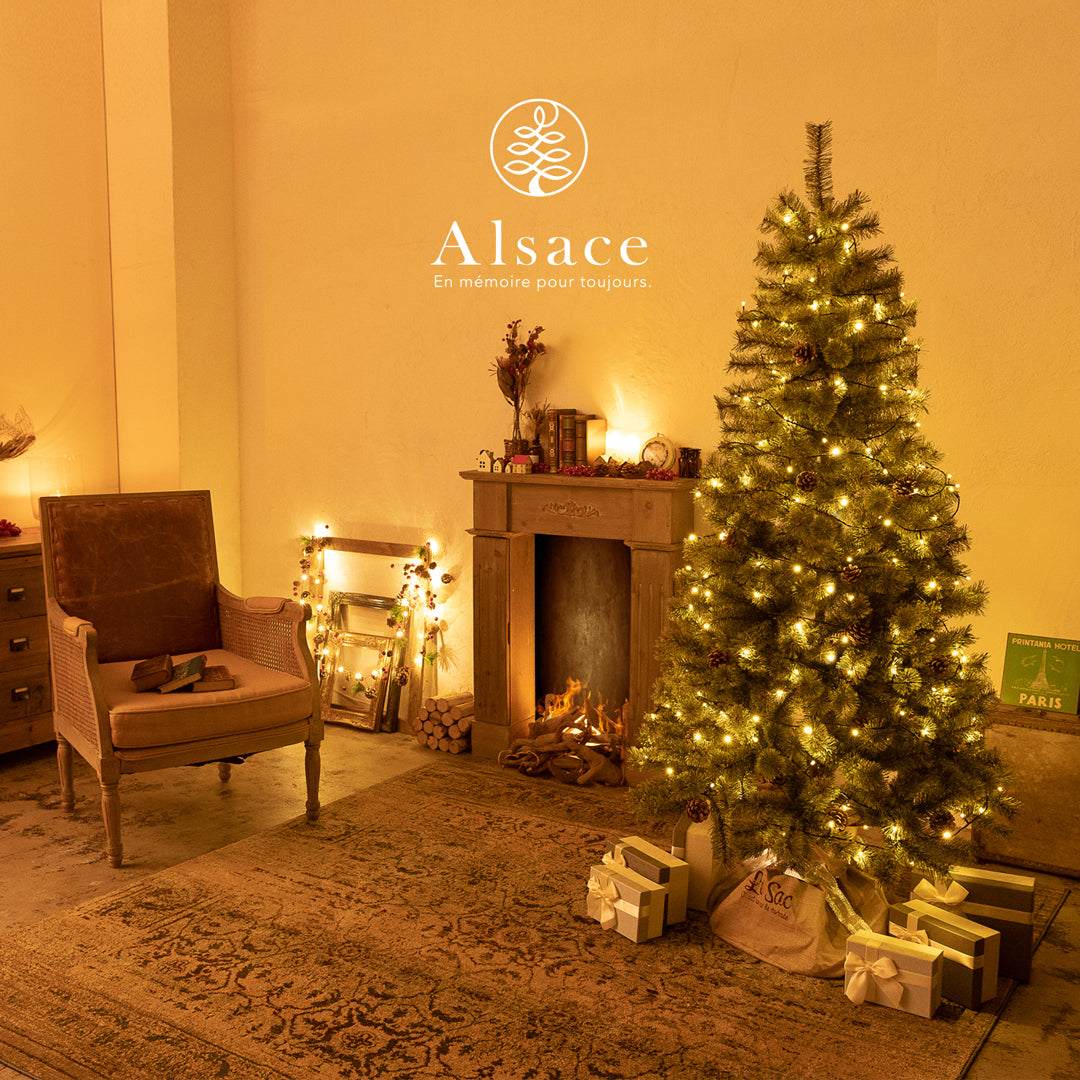 Alsace tree®︎ アルザスツリー 2023 クリスマスツリー 樅